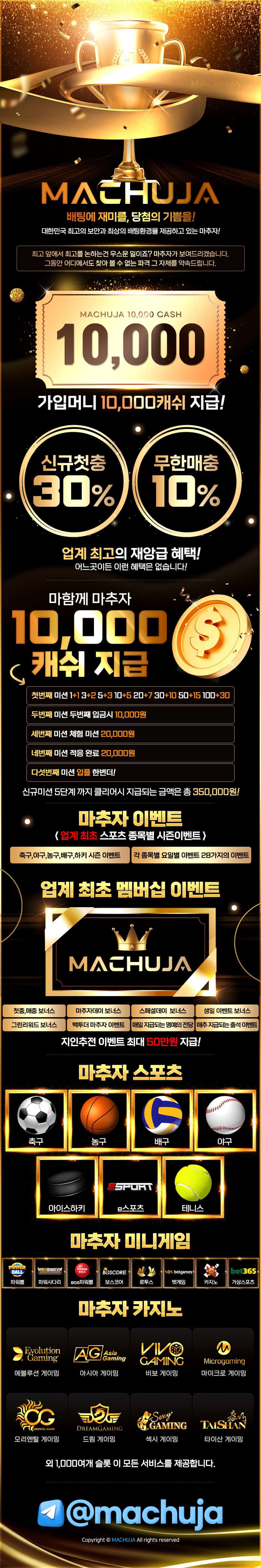 토토사이트 마추자 게임정보